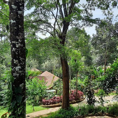 Willow Resorts Ambalavayal Екстериор снимка